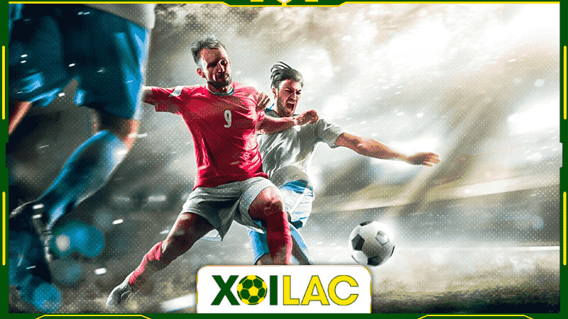 Xoilac TV phát sóng trực tuyến hàng trăm giải đấu lớn nhất hành tinh